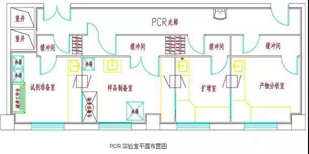 PCR实验室方案